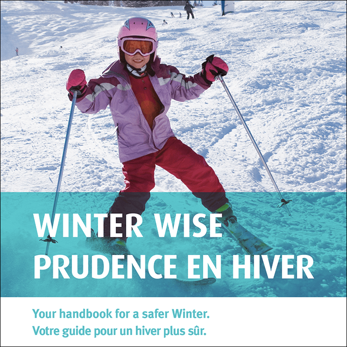 Winter Wise Booklet