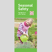 Spring Safe Brochure